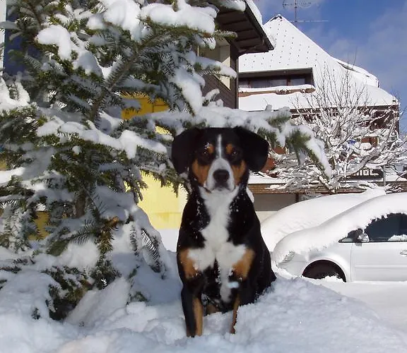 Adenia Hotel Höchenschwand